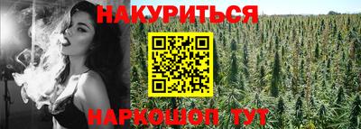 спиды Аргун