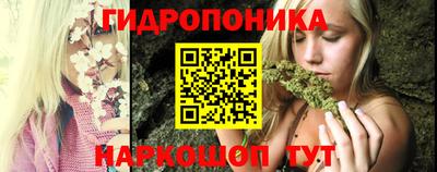 спиды Аргун