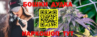 спиды Аргун